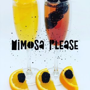 mimosa 